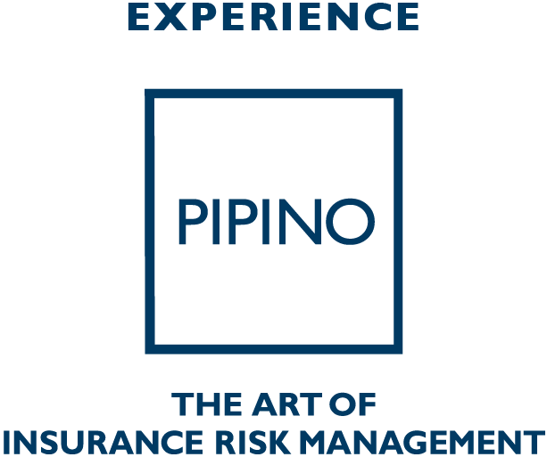 Experience Pipino